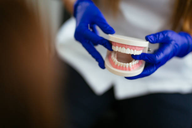 Reliable Wayne, IL  Holistic Dental Services Solutions